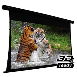 EluneVision 150" (74x130) 16:9 Reference Studio 4K Tab Tensioned 1.0 Gain Projector Screen 