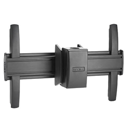 Large ceiling mount for flat panel 